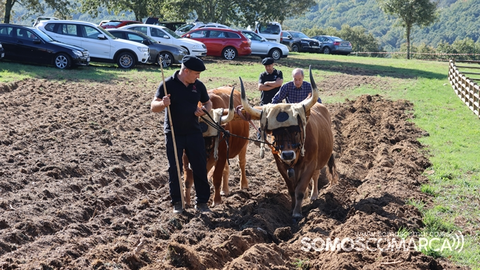 somoscomarca_231015_aveiga_osboisdemario_juandeguindo_arar (2)