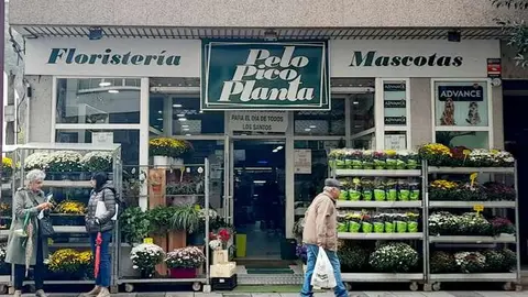 somoscomarca_santos_pelopicoplanta_2023 (1)