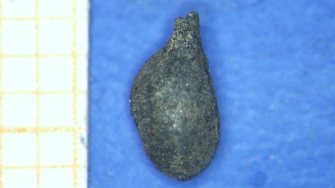 somoscomarca_231119_vilamartin_ocastelo_semillauva_sputnik