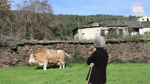 261123_entoma_obarco_Moment