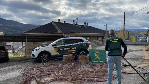 WhatsApp Image 2023-12-01 at 11.17.50 (1)