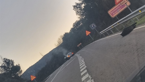 somoscomarca_231211_asermitas_accidente_jabali_atropello (3)