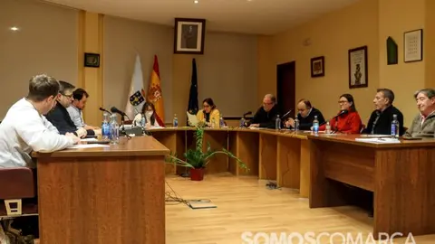 P_somoscomarca_240109_arua_pleno