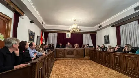 P_somoscomarca_240112_obarco_pleno