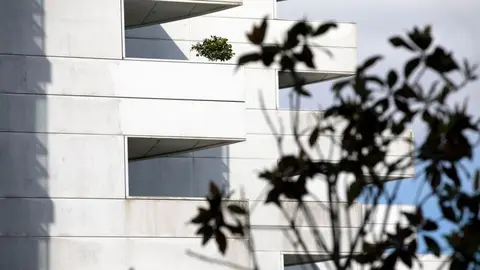 P_somocomarca_240116_xuntadegalicia_edificio
