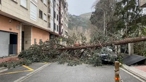 WhatsApp Image 2024-02-08 at 09.46.25