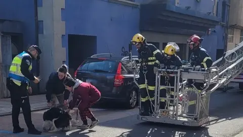 Portada_somoscomarca_240213_obarco_rescate_perro_avenidaestacion_bomberos (1)