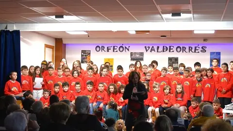 somoscomarca_viloira_oteropedrayo_orfeonvaldeorres_2024 (2)