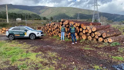 portada_somoscomarca_madera_2024-03-01