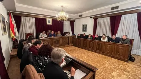 P_somoscomarca_240307_obarco_pleno