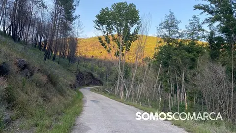somoscomarca_240525_entoma_carreteraentomaveigacascalla_arreglo (6)