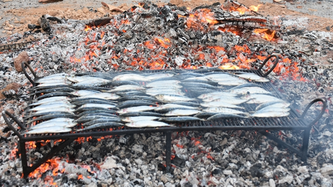 somoscomarca_20240623_vilamartin_obarco_nochesanjuan_sardinas_fogatas_chorizos (30)