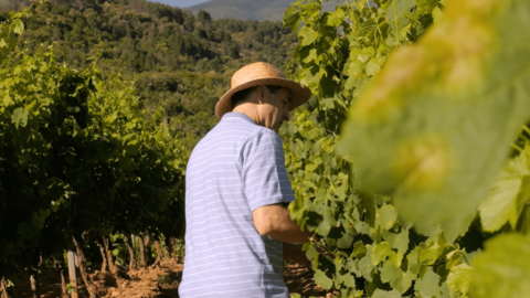 VB campaña verano 07