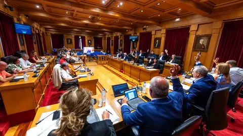 P_Pleno ordinario da Deputación Ourense correspondente ó mes de xullo. Asisten Luís Menor Pérez (Presidente Deputación); Marta Nóvoa Iglesias (VicePresidenta 1ª); Cesar Fernández Gil (VicePresidente 2º); Placido Álvarez Dobaño (VicePresidente 3º); Rosendo Fernández; Jorge Pumar Tesouro (Deputado PPOU); José Miguel Pérez Blecua (Deputado PPOU); Manuel Seoane Rodríguez (Deputado PPOU); Patricia Torres Madureira (Deputado PPOU); María del Carmen González Quintela  (Deputada PPOU); José María Lago Cabo (Deputado PPOU); María Teresa Barge Bello (Deputada PPOU); José Ignacio Gómez Pérez (Deputado PSOE); Elvira Lama Fernández (Deputado PSOE); Diego Fernández Nogueira (Deputado PSOE); Susana Rodríguez Estévez (Deputado PSOE); Marina Vaz Quintillán (Deputada PSOE); Álvaro Vila Araujo (Deputado PSOE); Aurentino Alonso Araujo (Deputado PSOE); Armando Ojea Bouzo (Deputado DO); Gonzalo Pérez Jácome (Deputado DO); Rafael Martínez Cachafeiro (Deputado DO); Bernardo Varela López (Deputado BNG), Xosé Manuel Puga González (Deputado BNG), María José Mangana Guede (Deputada BNG), Mónica Legaspi (Interventora Deputación Ourense) e Juan Marquina (Secretario Deputación Ourense).