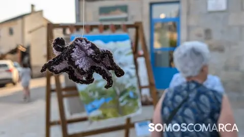 somoscomarca_240808_aveiga_tecendosoños (19)