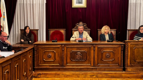 Pleno extraordinario octubre. Tino