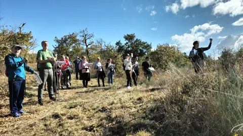 WhatsApp Image 2024-11-02 at 17.50.34 (5)