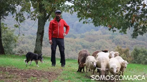 somoscomarca_241105_aveiga_pastor_ovejas668