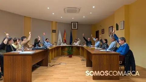 P_somoscomarca_241106_arua_pleno681