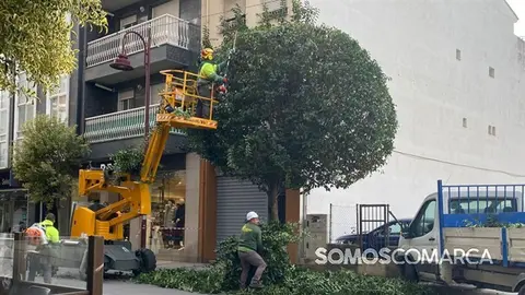 somoscomarca_20241113_obarco_poda89