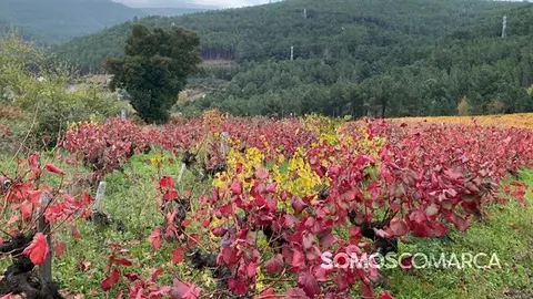 P_somoscomarca20241116_arua_rutadelvino_melillas145