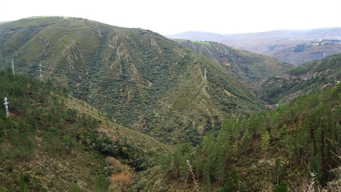 somoscomarca_20241208_larouco_panoramica_codosdelarouco_viñas_otoño (3)