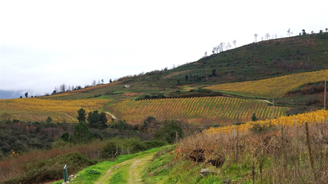 somoscomarca_20241208_larouco_panoramica_codosdelarouco_vi&ntilde;as_oto&ntilde;o (1)