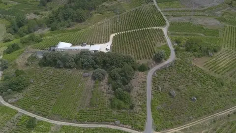 somoscomarca_202412011_arua_bodega_alandeval105 (2)