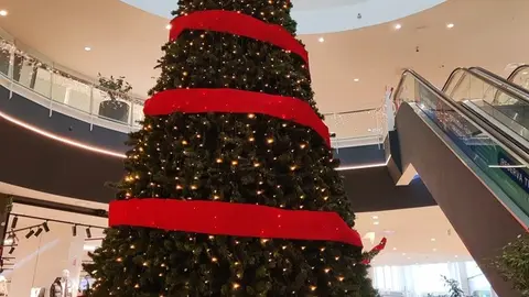 portada_somoscomarca_elrosal-navidad