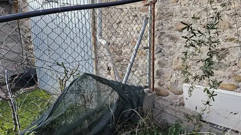 somoscomarca20250115_obarco_robo_vivienda109