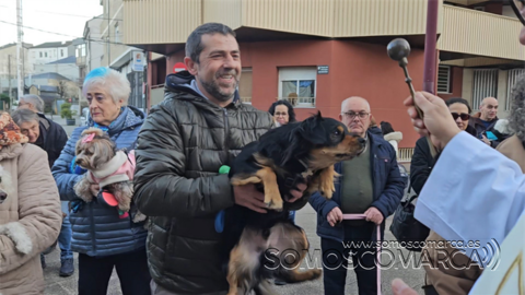 somoscomarca_20250117_obarco_bendicionmascotas_iglesiasantarita (15)