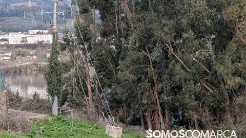 somoscomarca_petin_pradodagranxa_eucaliptos_tendidoelectrico_tala (1)