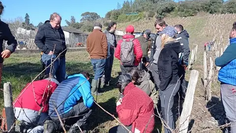 somoscomarca_20250317_arua_uned_poda44