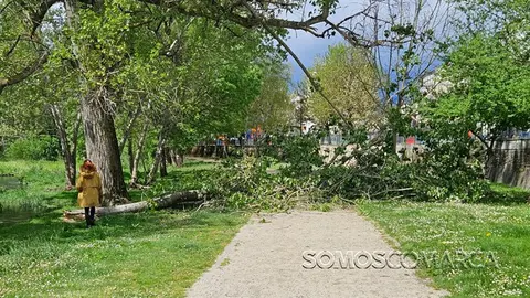 somoscomarca_20250412_obarco_rama_senda_malecon69