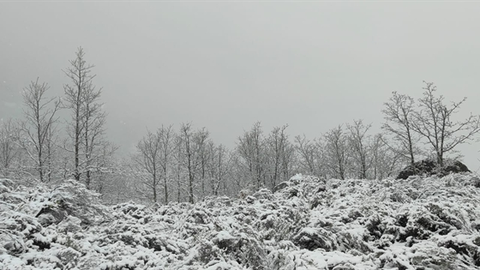 somoscomarca_cotodexares_nieve_nevada