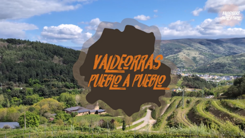 Captura de pantalla 2025-04-27 214740