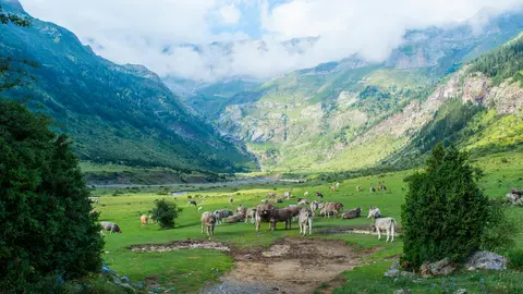  Financiar proyectos y formación en la Comarca: soluciones reales para quienes quieren avanzar 