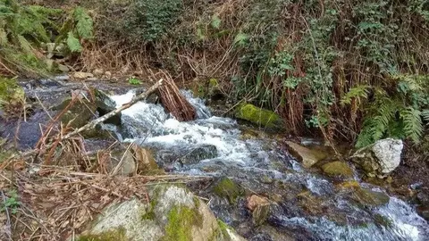 somoscomarca_rubiá_SerraEncinaLAstra_-Os-Castros-a-Niviera-5