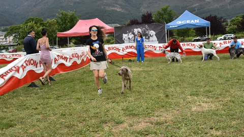 p_somoscomarca_20250614_arua_oaguillon_concursocanino_perros (43)