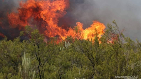 somoscomarca_vilariño_incendio_brigadasincendios3031