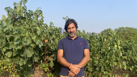 portada_somoscomarca_vilamartin_vendimia_portela_valdesil (2)