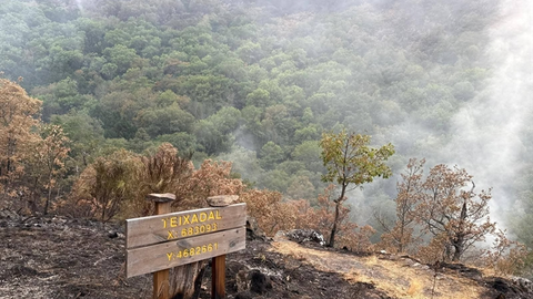 portada_somoscomarca_carballeda_incendio_teixadal3411