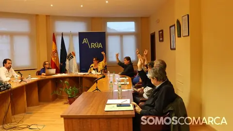 somoscomarca_arua_pleno_votacion) (2)