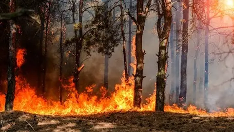  Incendios forestales en Valdeorras: cómo recibir alertas fiables y proteger tus datos 