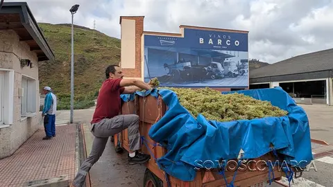 somoscomarca_20250904_obarco_vendimia_vinosbarco1305