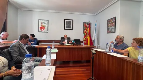 somoscomarca_20250905_viana_moción1335