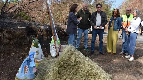 somoscomarca_20250905_xunta_ayudas_incendios1343