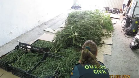 p_somoscomarca_trives_guardiacivil_maihuana