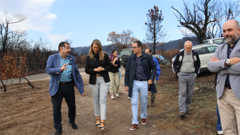 somoscomarca_20250919_arua_viñedo_joquinrebolledo_aeva_viñedoquemado (2)