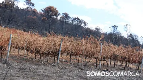 somoscomarca_lentellais_incendio (5)
